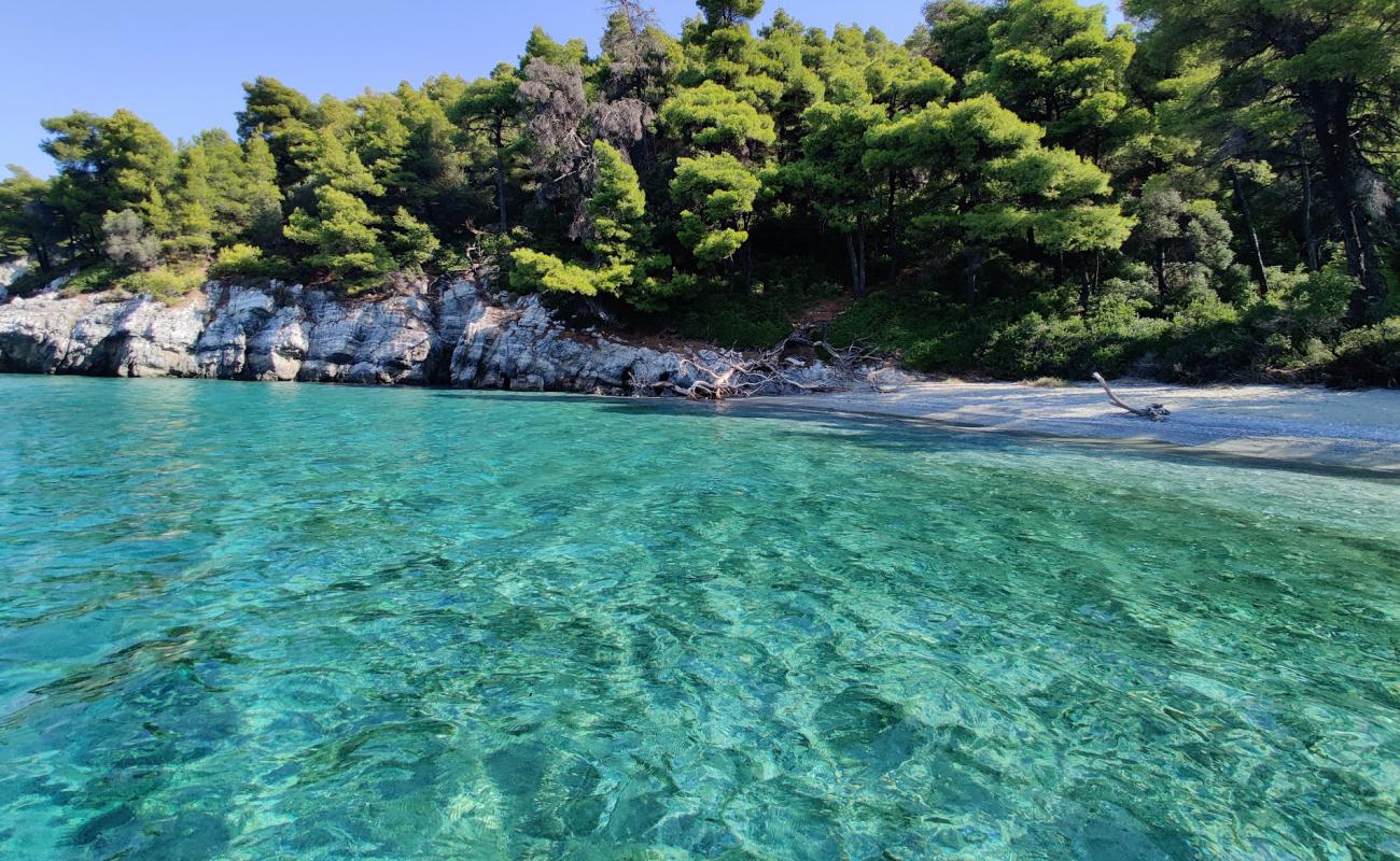 Photo of Ftelia beach with light sand &  pebble surface