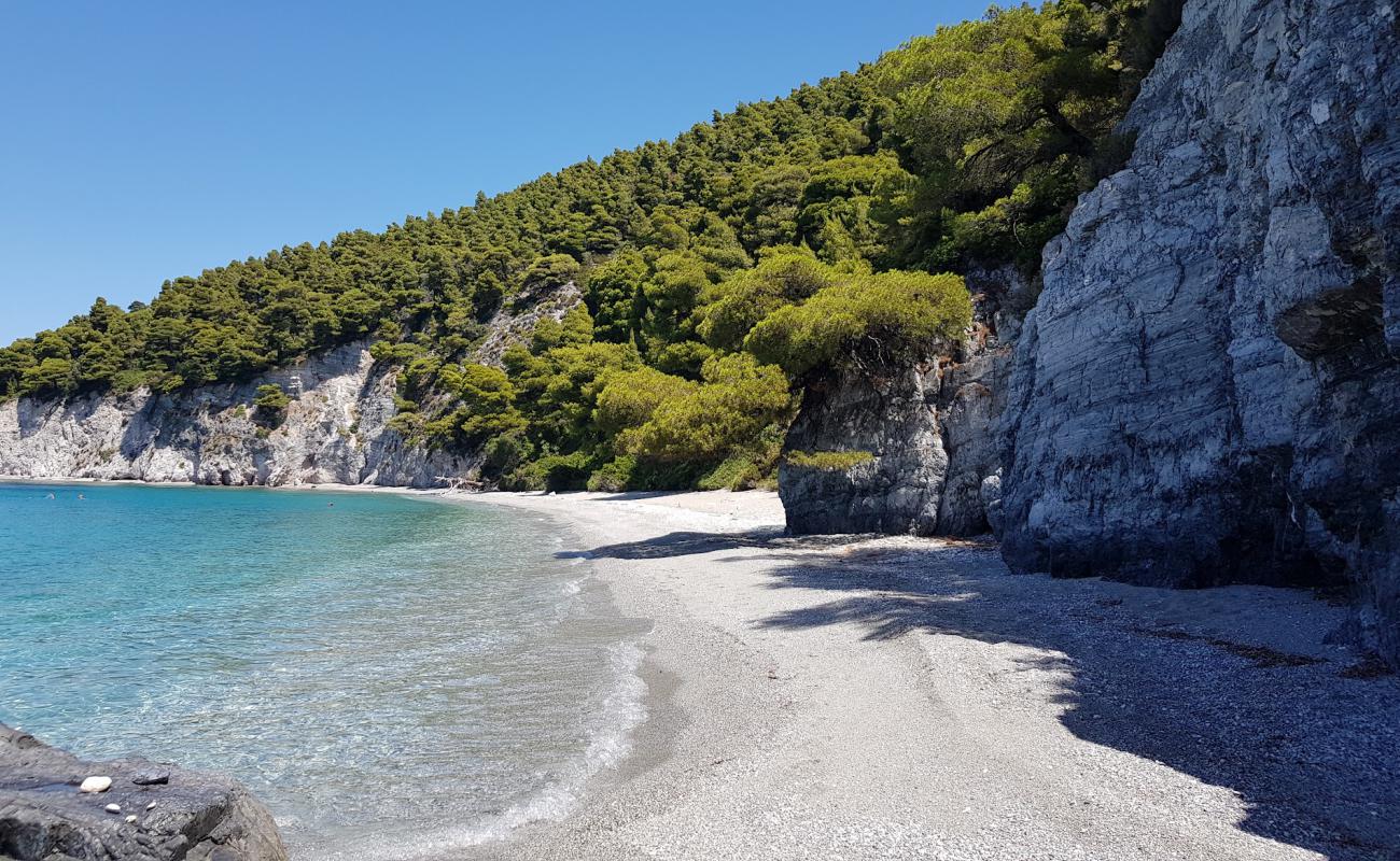 Photo of Skopelos beach with gray fine pebble surface