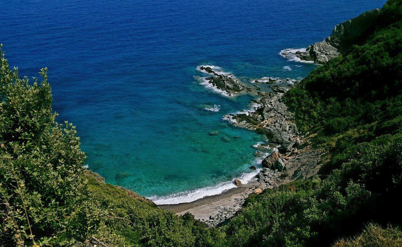 Photo of Marie beach with bright shell sand surface