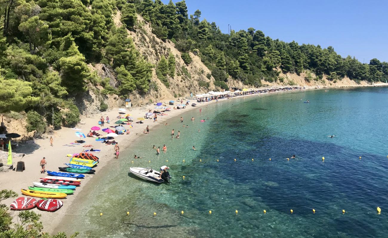 Photo of Stafilos beach with brown fine pebble surface