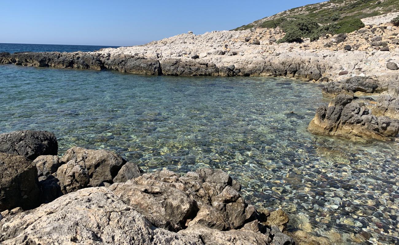 Photo of Eukaryotes cove beach with rocks cover surface