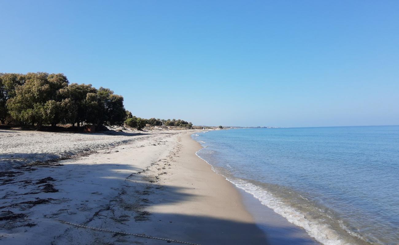 Photo of Marmari beach with bright sand surface