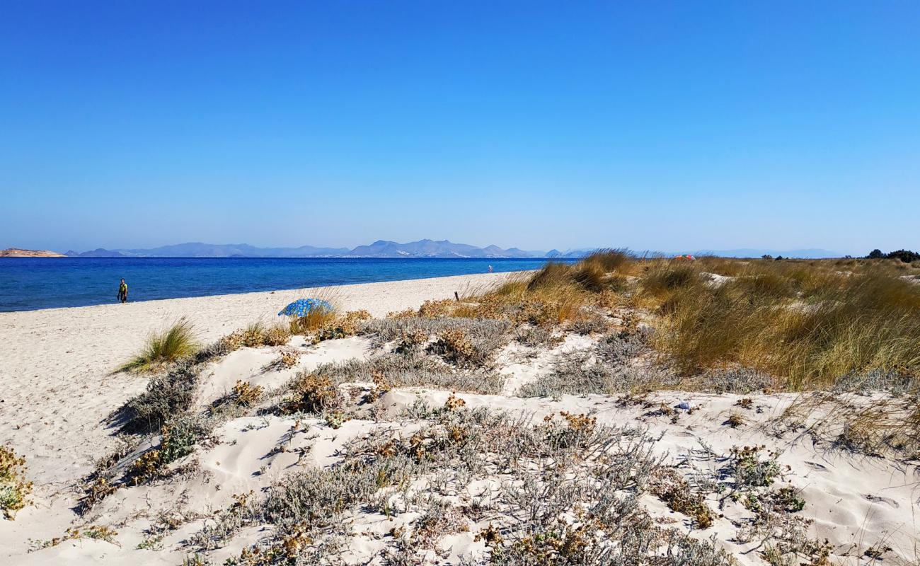 Photo of Golden beach with bright sand surface