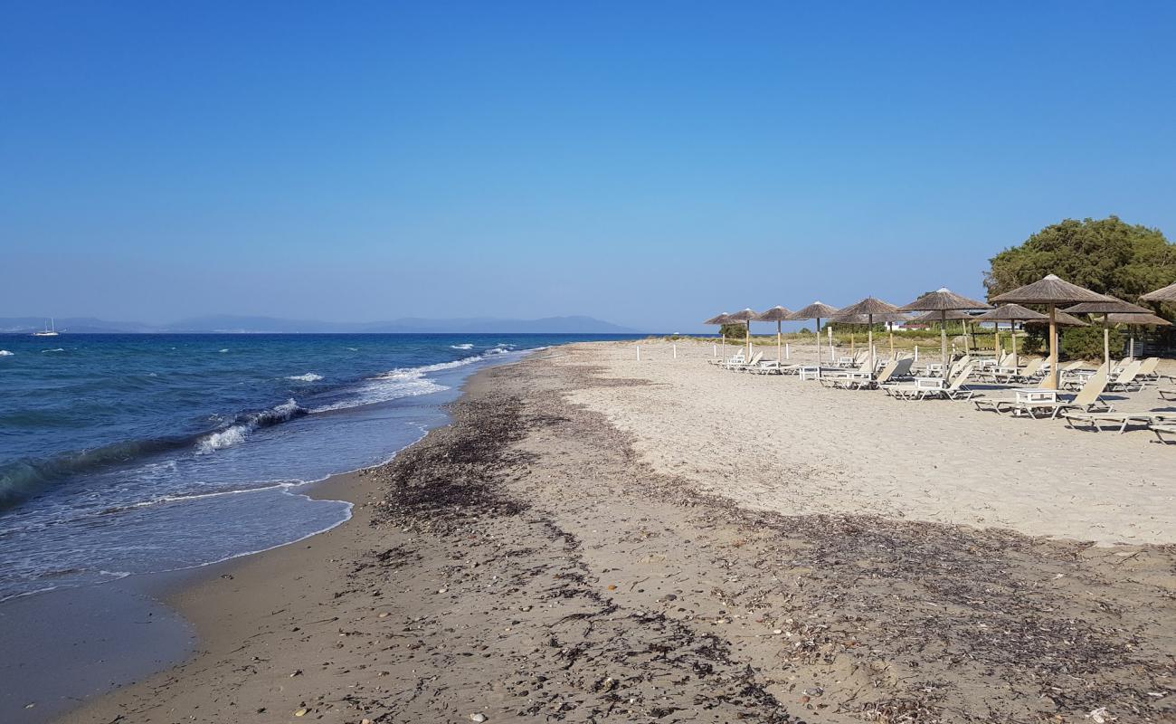 Photo of Aqua Blue beach with bright sand surface