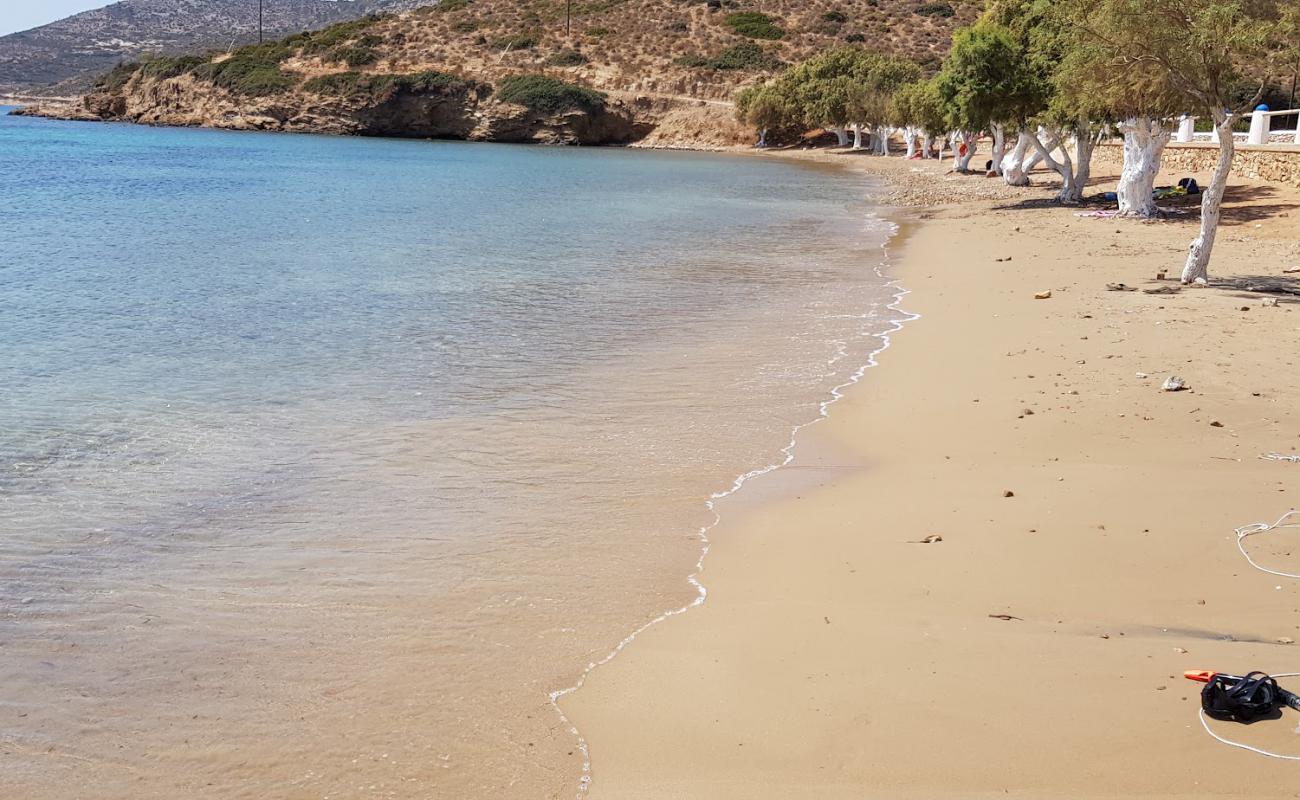 Photo of Lowland beach with gray sand surface