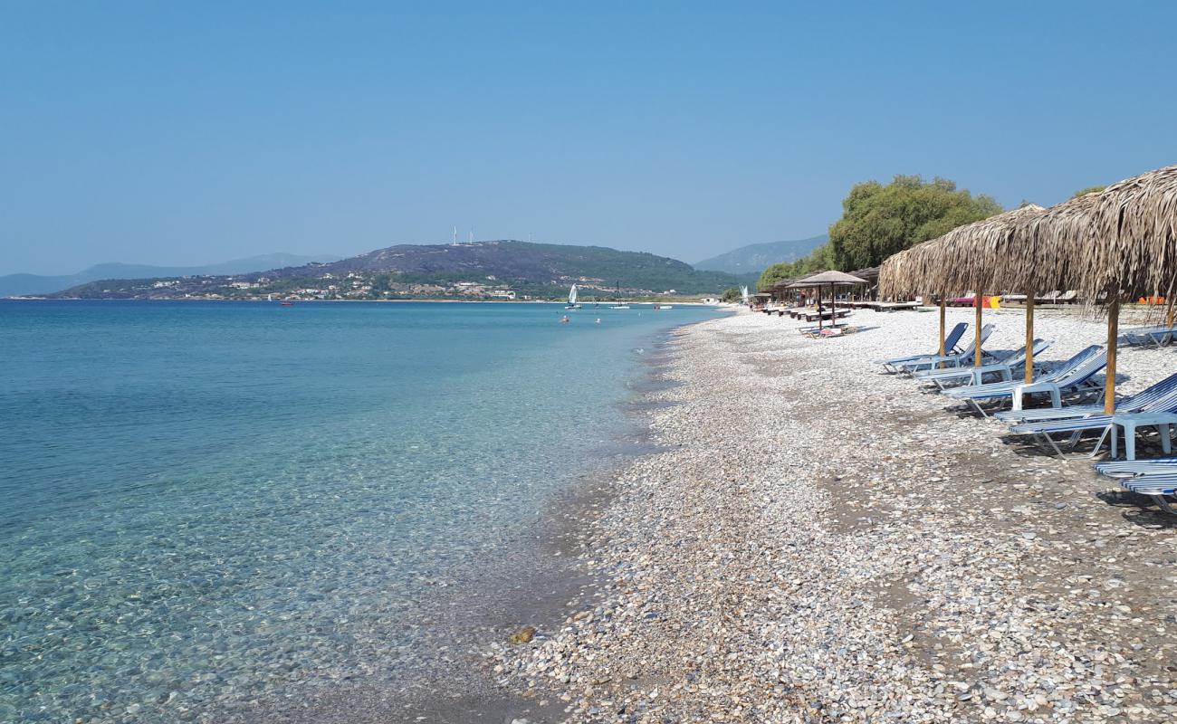 Photo of Mykali beach with light pebble surface