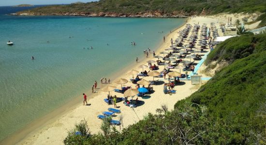 Golden sand beach