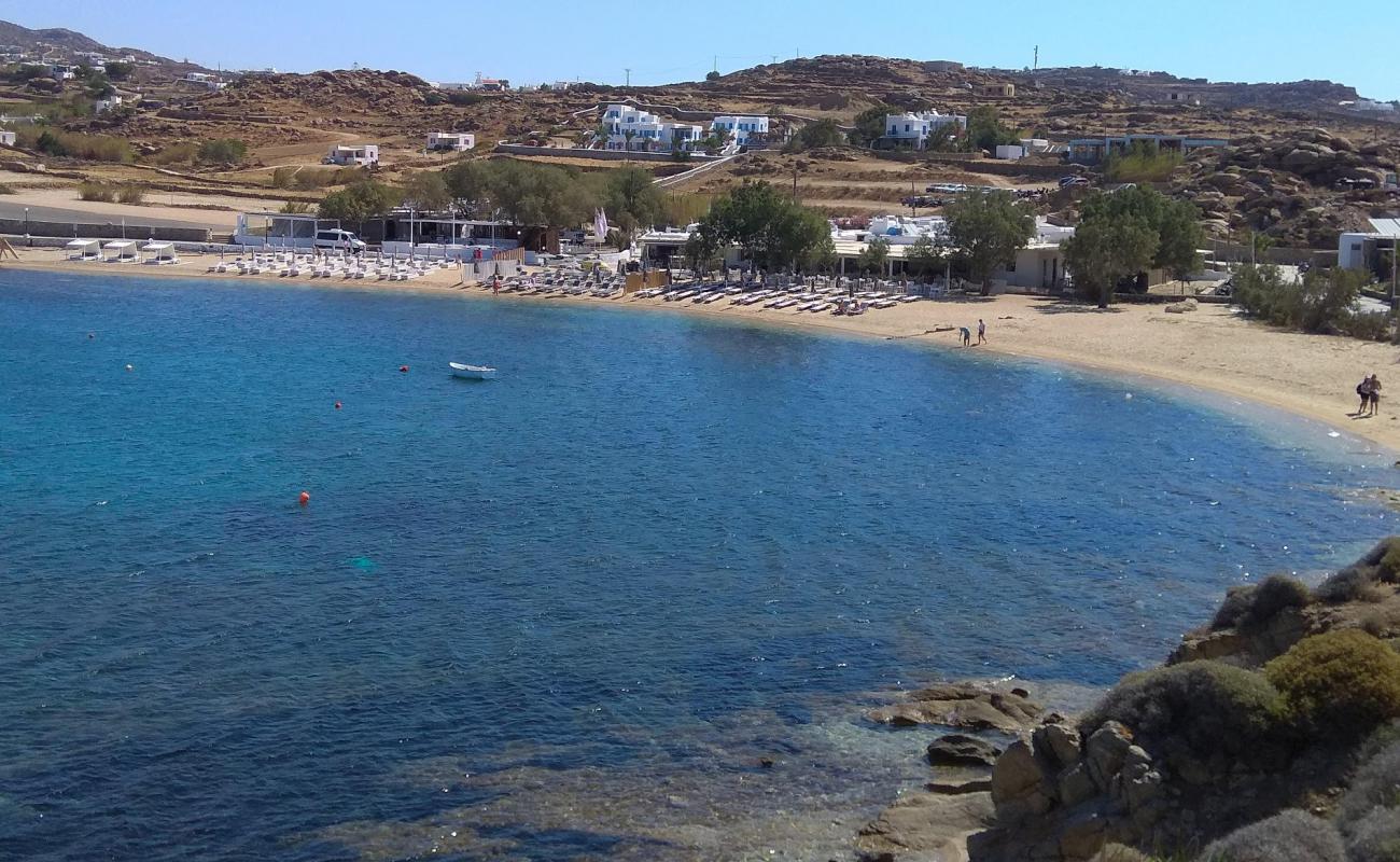 Photo of Agia Anna beach with bright sand surface