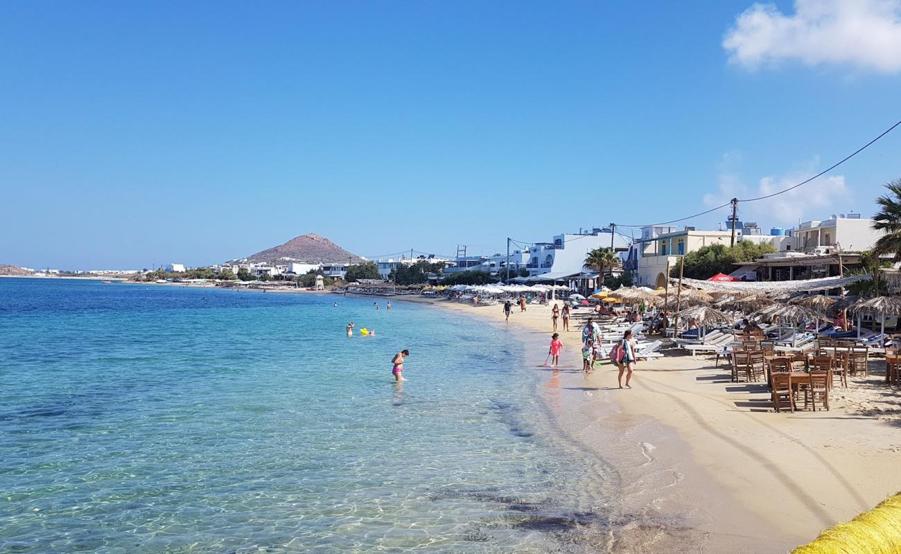 Photo of Agia Anna beach with bright fine sand surface