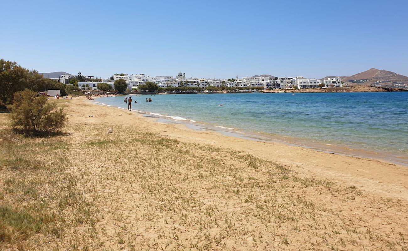 Photo of Ag. Anargyroi beach with bright fine sand surface