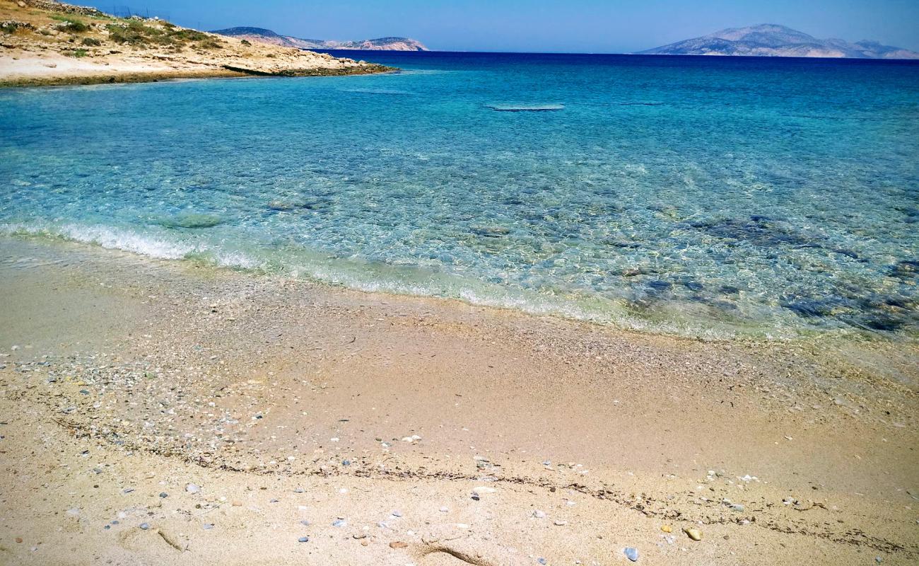 Photo of Celandine beach with bright sand surface