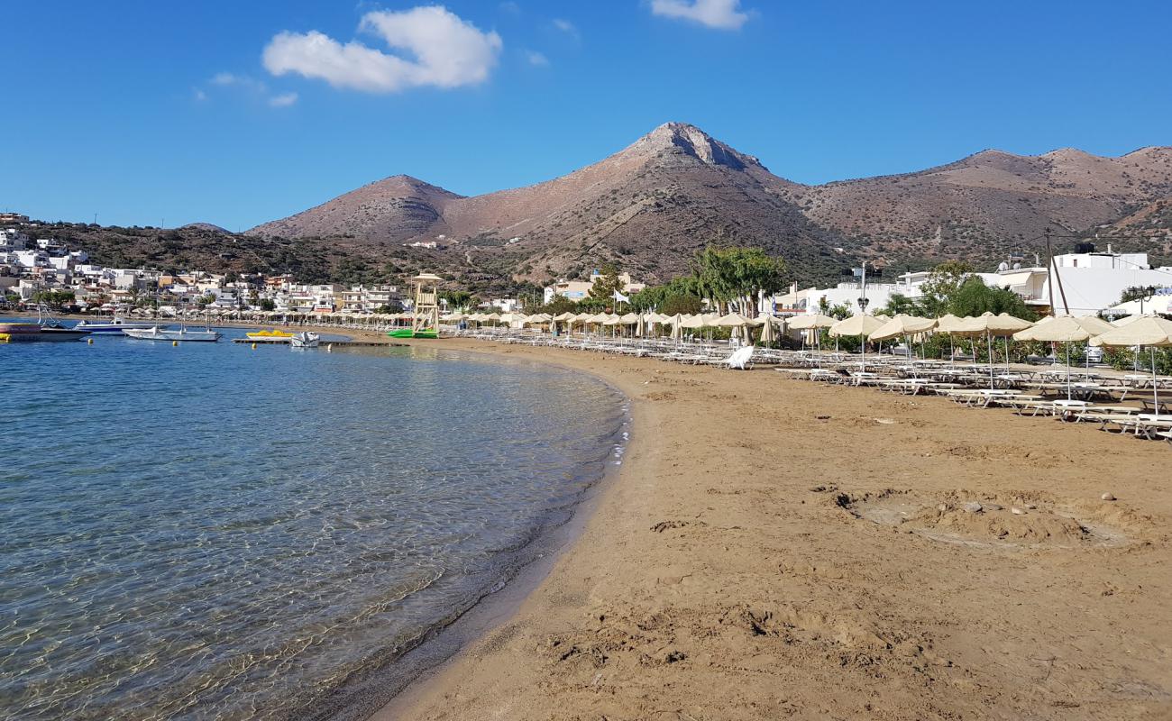 Photo of Schisma Elountas with brown fine sand surface