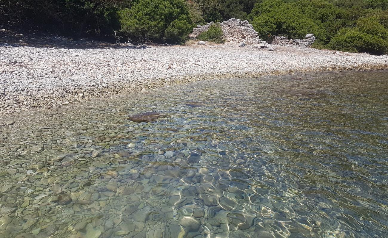 Photo of Piglet Bear Bay with light pebble surface