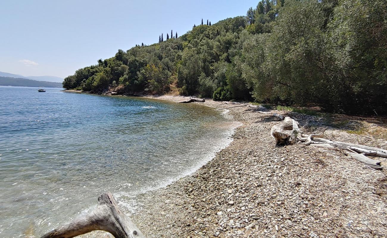 Photo of Kassopei beach with gray sand &  pebble surface