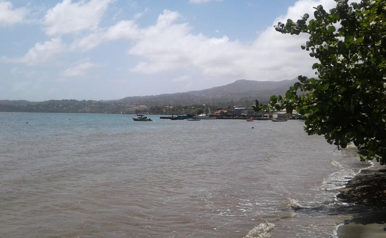 Photo of Grenville Bay beach with gray sand surface