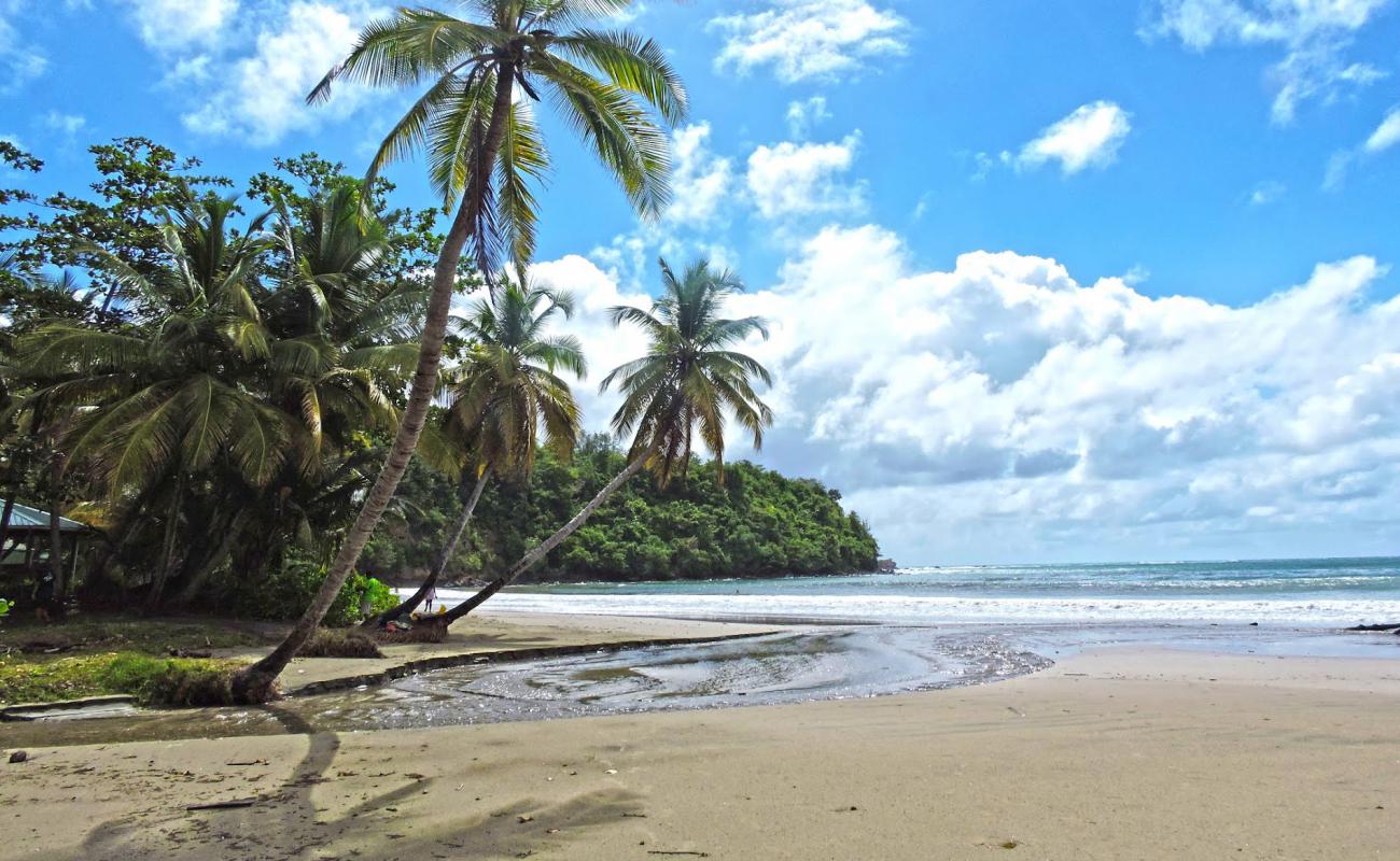 Photo of La Sagesse beach with bright fine sand surface