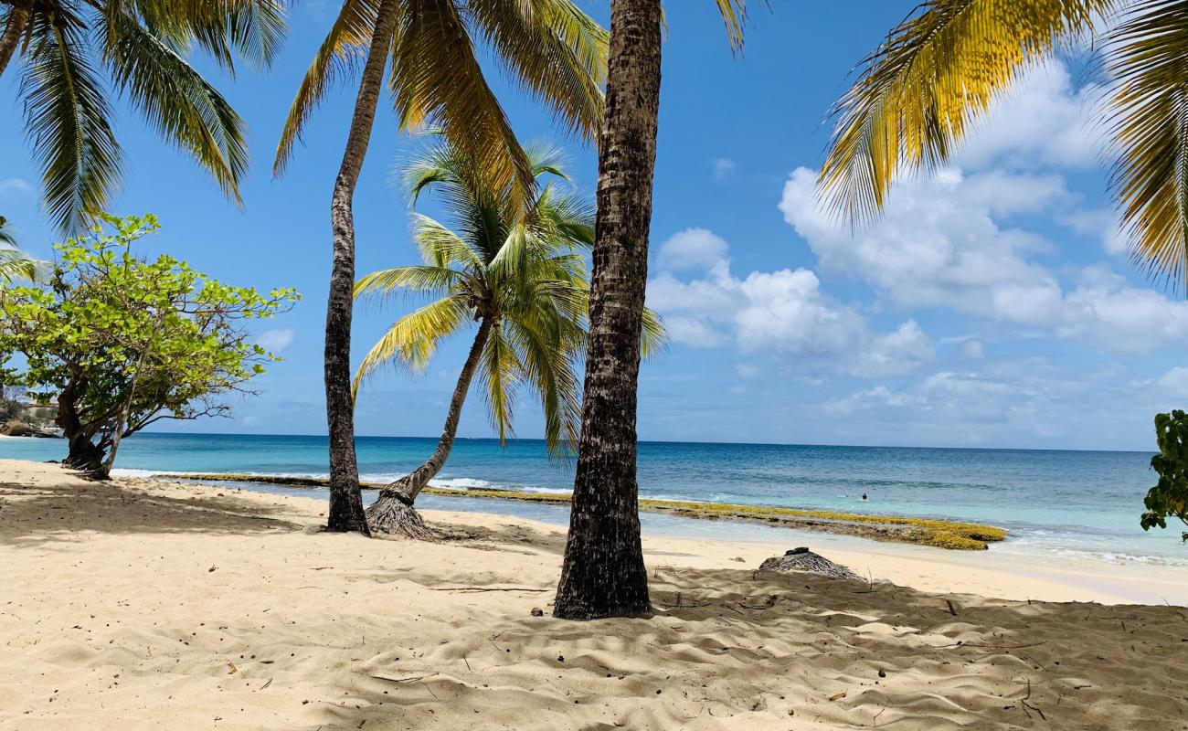 Photo of Magazine beach with bright sand surface