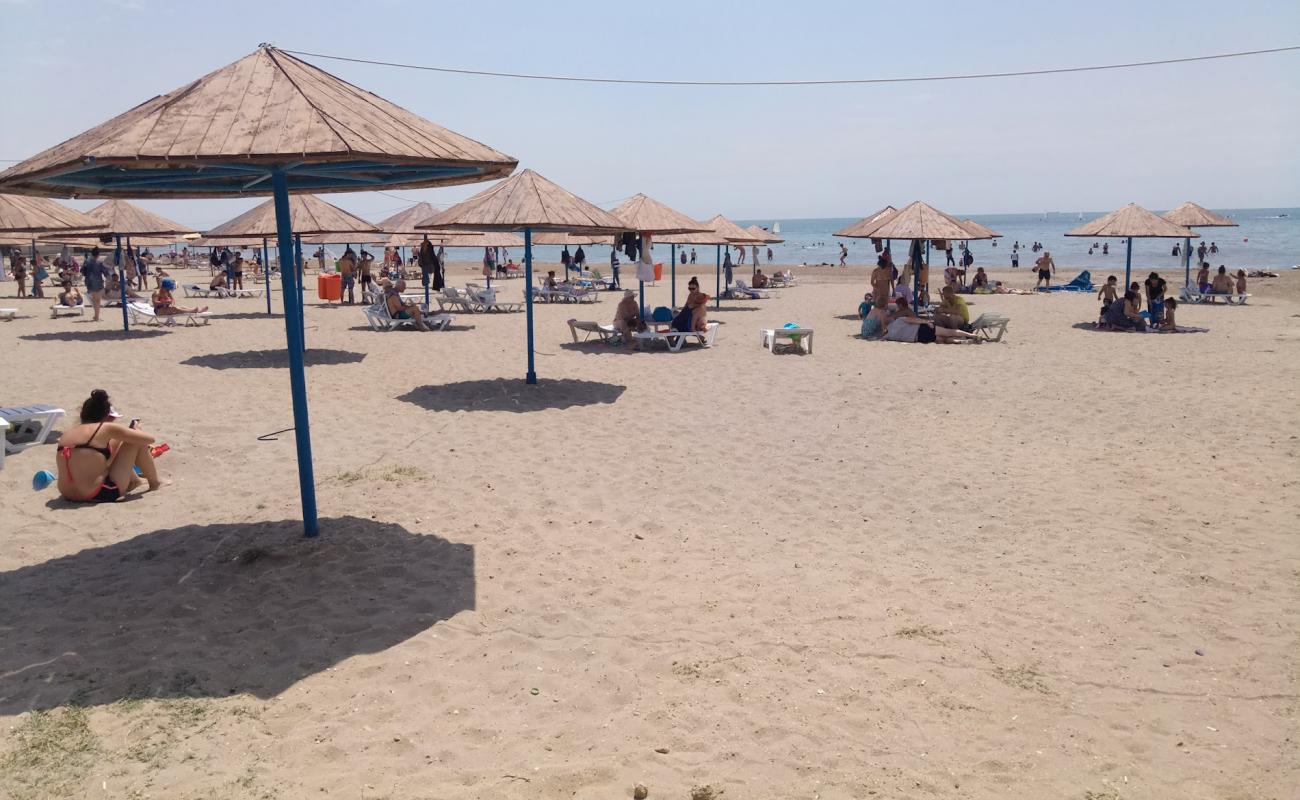 Photo of Shikh Beach with bright shell sand surface