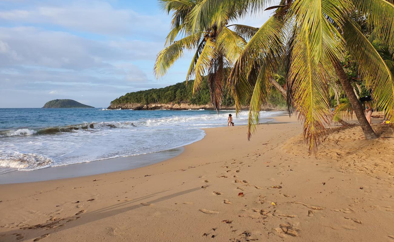 Photo of Plage de la Perle with brown sand surface