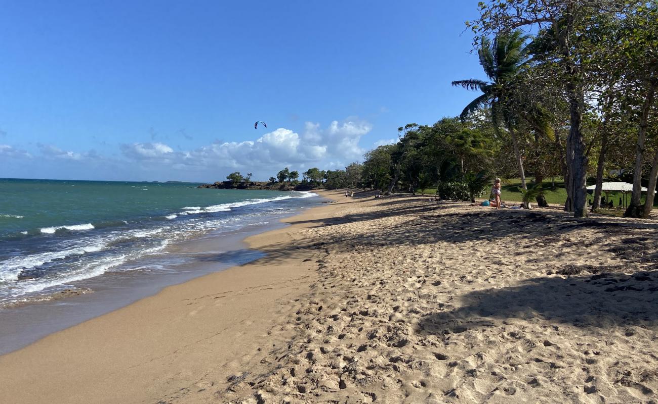 Photo of Plage des Amandiers with brown fine sand surface