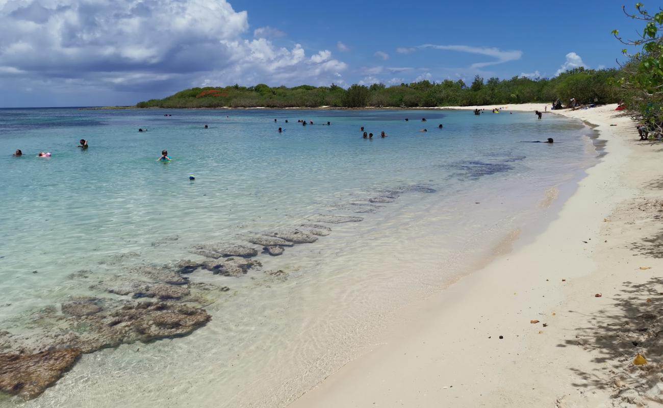 Photo of Plage d'Antigues with bright fine sand surface