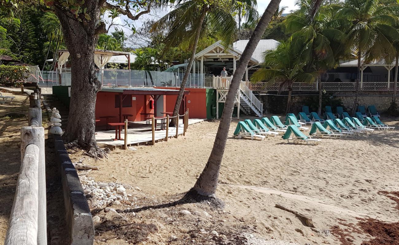 Photo of De La Vieille Beach with bright fine sand surface