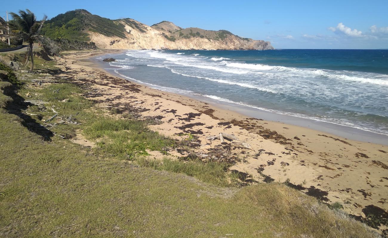 Photo of Plage de Grande Anse with bright sand surface