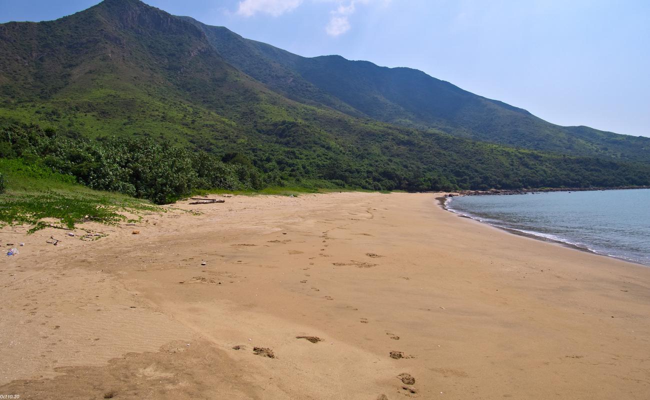 Photo of Tsin Yue Wan with bright sand surface