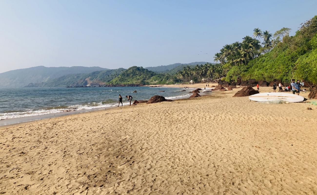 Photo of Cola Beach with bright sand surface