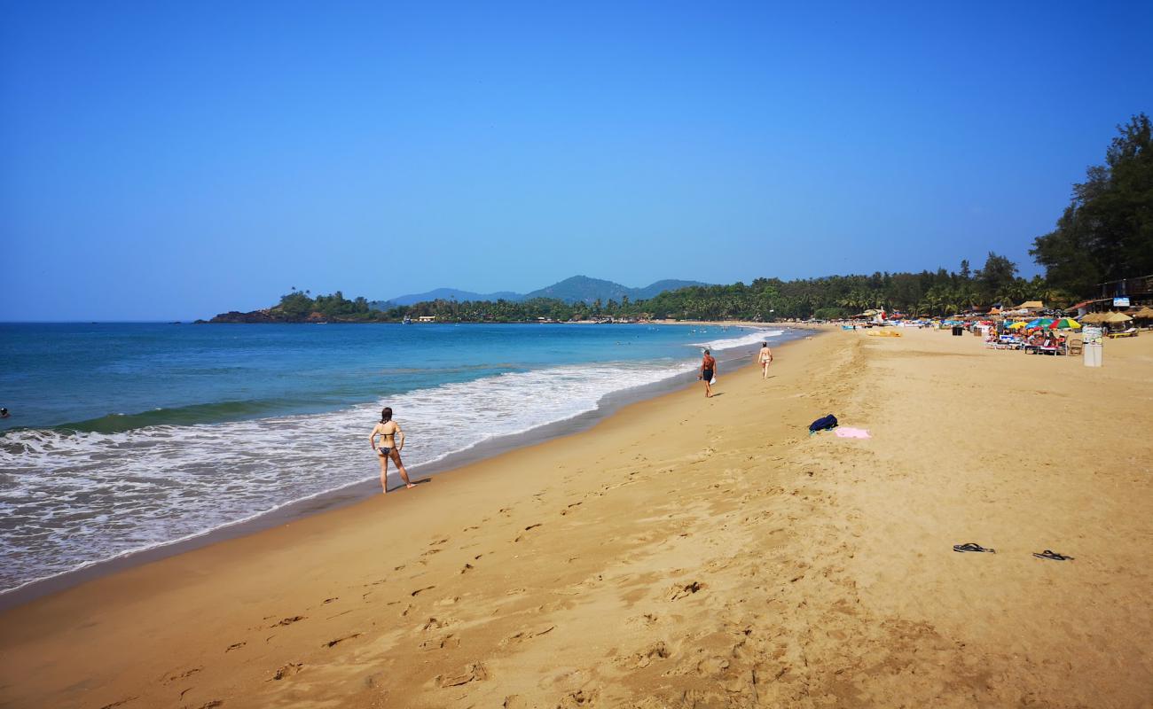 Photo of Patnem Beach with bright sand surface