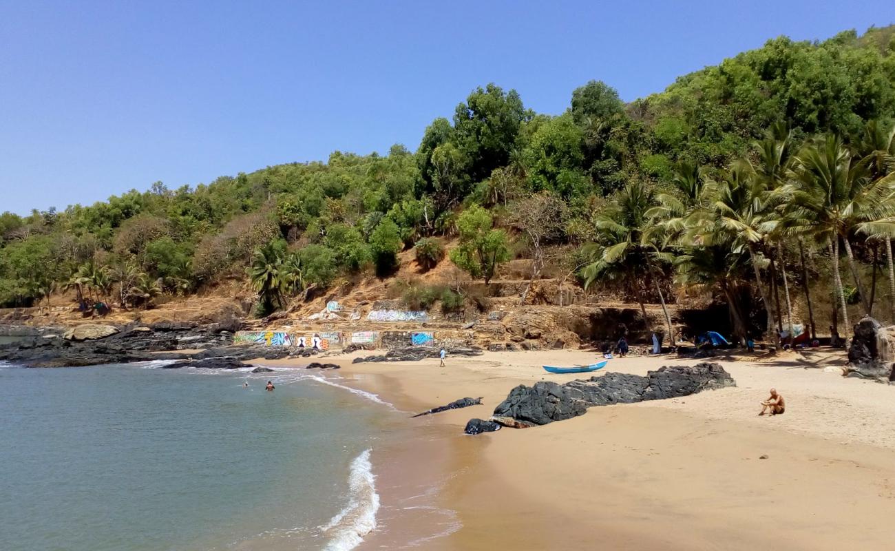 Photo of Paradise Beach with bright sand surface