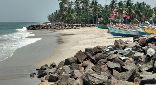 Chappakkadavu Beach