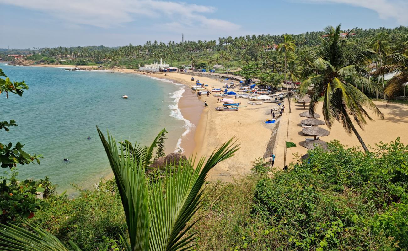 Photo of Grove Beach with bright fine sand surface