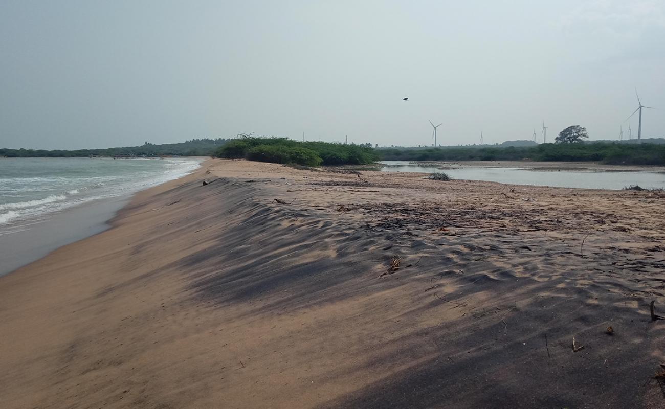 Photo of Rocky Beach with bright sand surface