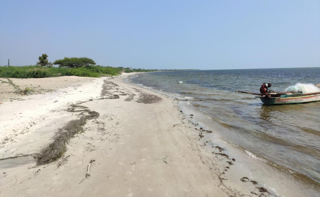 Photo of M R Pattanam Beach with bright sand surface