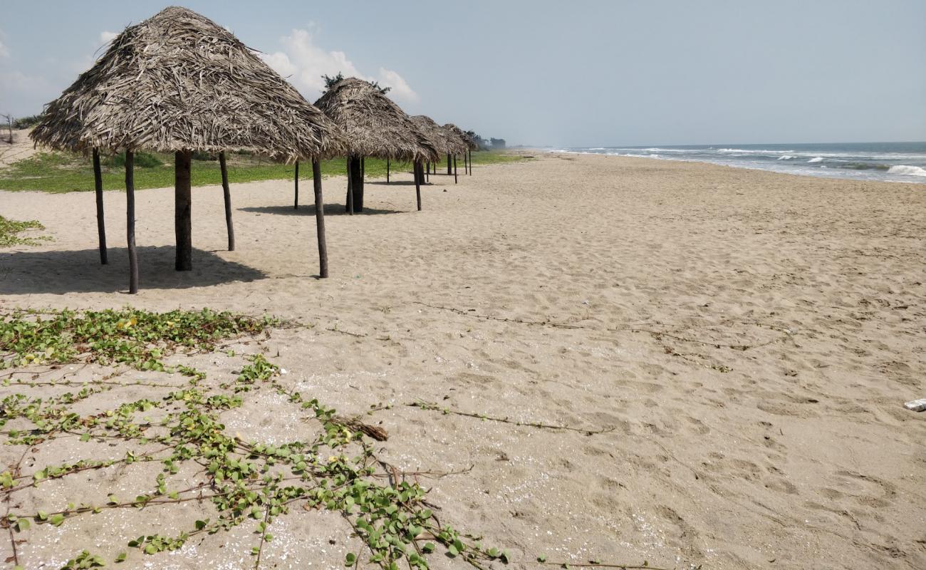 Photo of Island Beach with bright sand surface