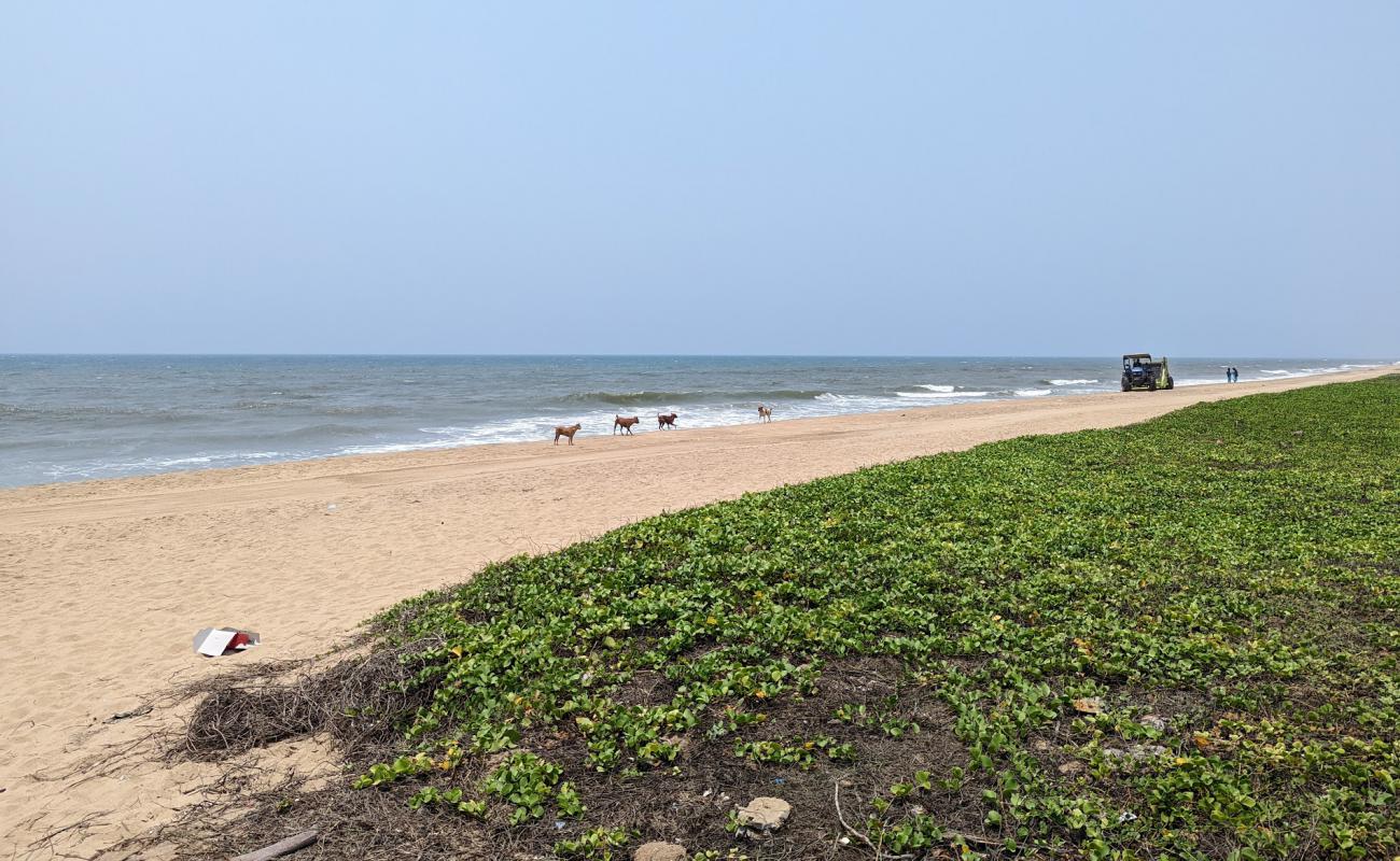 Photo of Panaiyur Beach ECR with bright sand surface