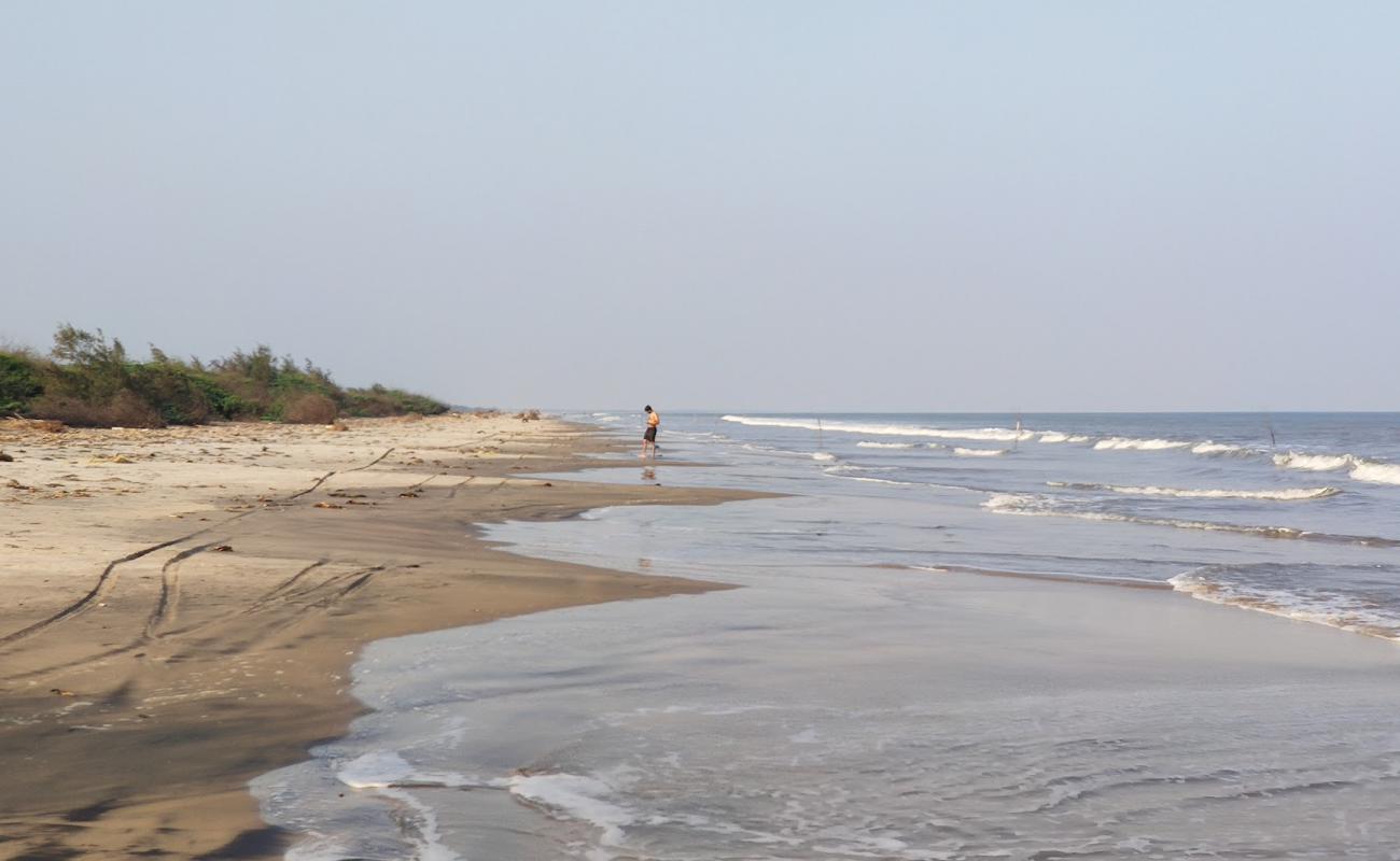 Photo of Lonely Beach with bright sand surface