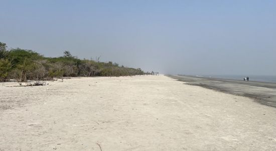 Henry's Island Sea Beach