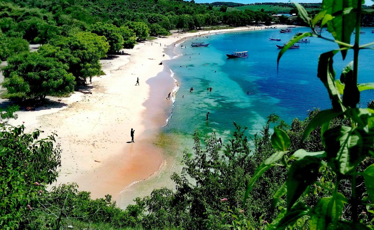 Photo of Pink Beach Lombok with pink sand surface