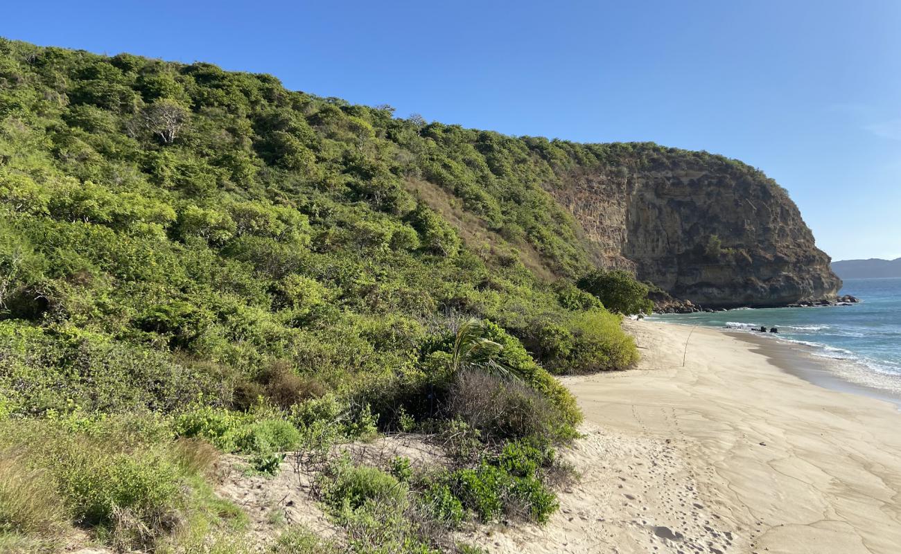 Photo of Pendoek Beach with bright sand surface