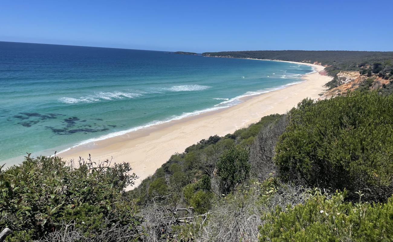 Photo of Pinnacles Beach with bright sand surface