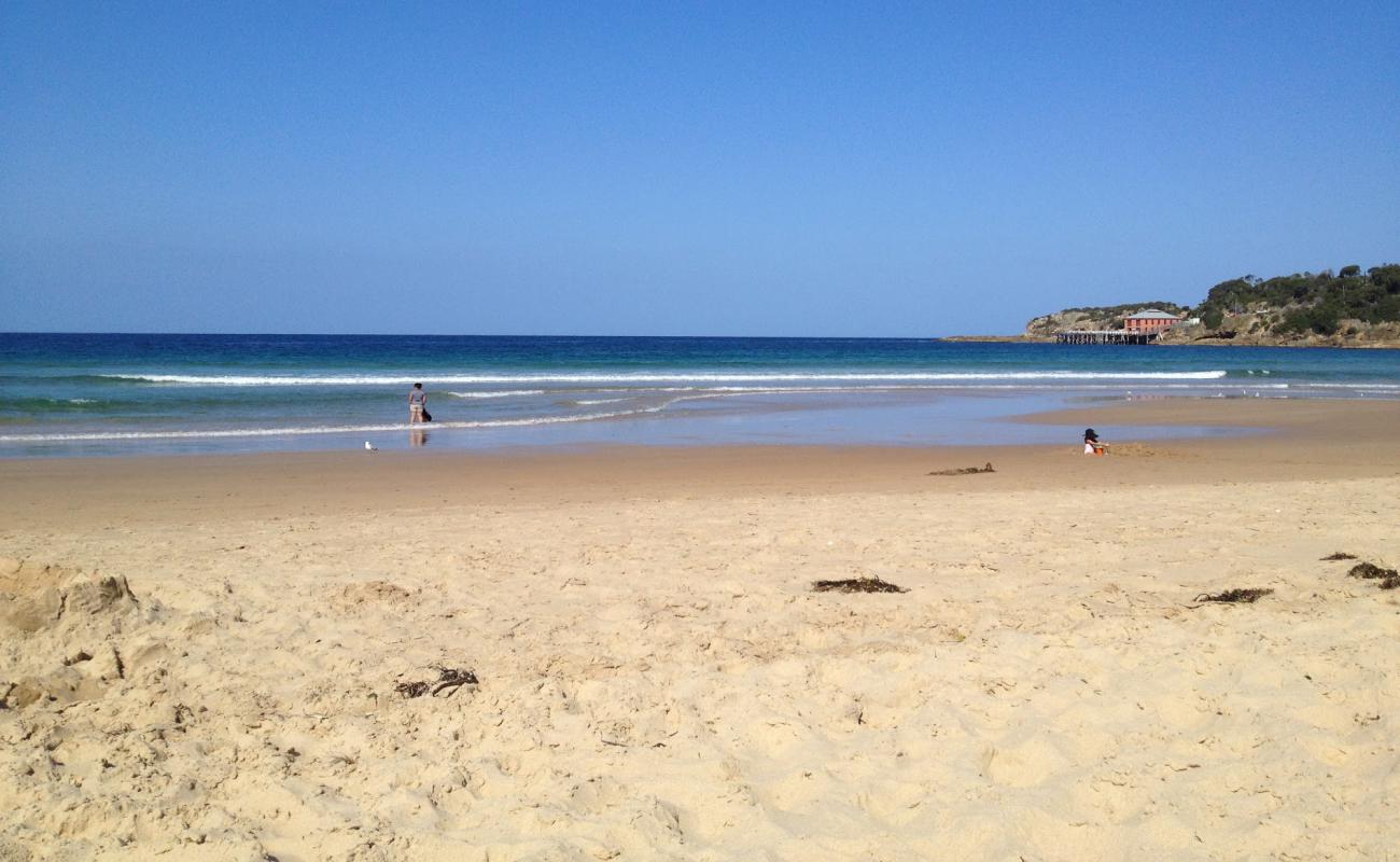 Photo of Tathra Beach with bright sand surface