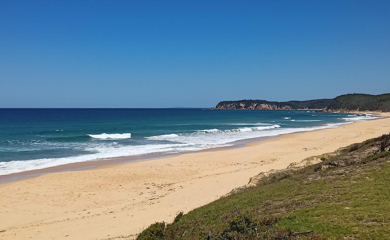 Photo of Gillards Beach with bright fine sand surface