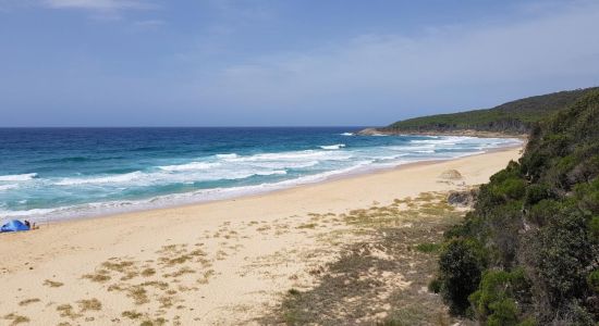 Aragunnu Beach