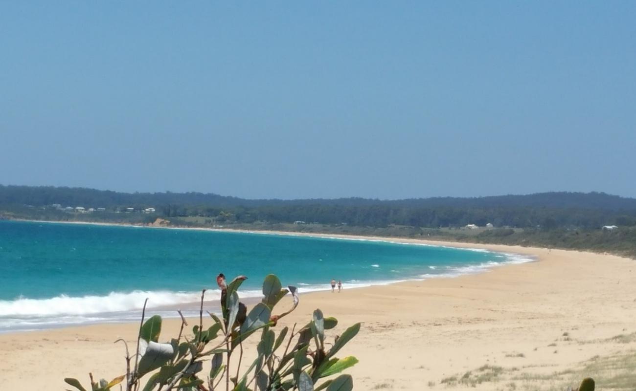 Photo of Wallaga Beach with bright sand surface