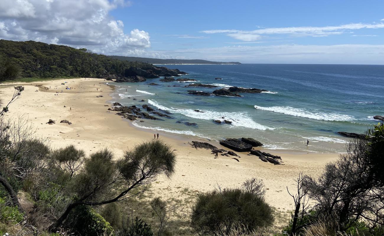 Photo of Mystery Bay Beach with bright sand surface