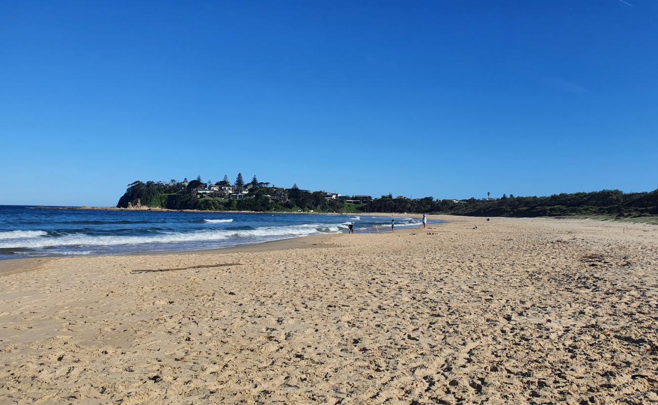 Photo of Potato Point Beach with bright sand surface