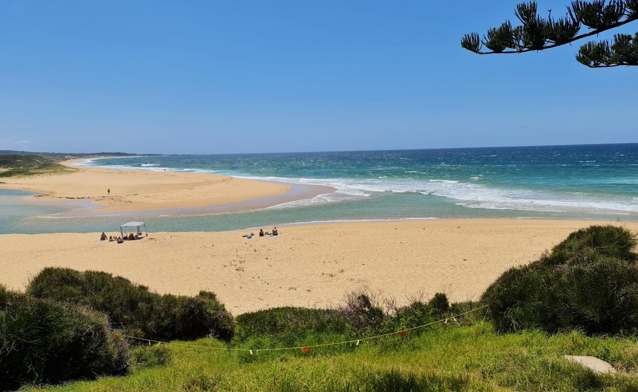 Photo of Bingie Beach with bright sand surface