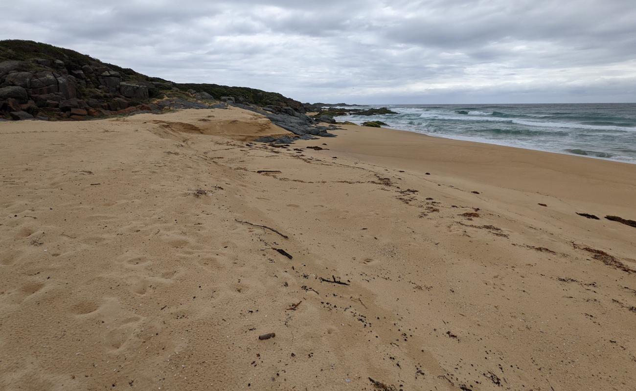 Photo of Coila Beach with bright sand surface